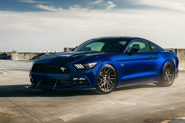 快借资金,征信审查速递 快借资金,征信审查速递